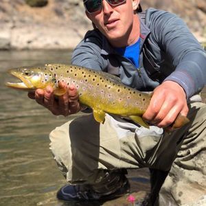 Meet your Posher, Matthew